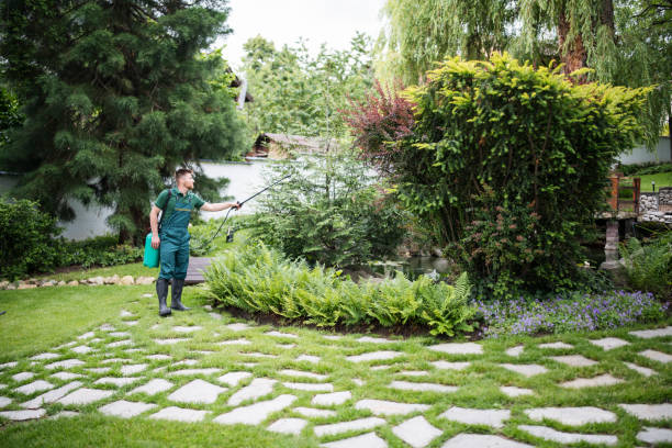 Best Wasp Removal Services  in Pinconning, MI