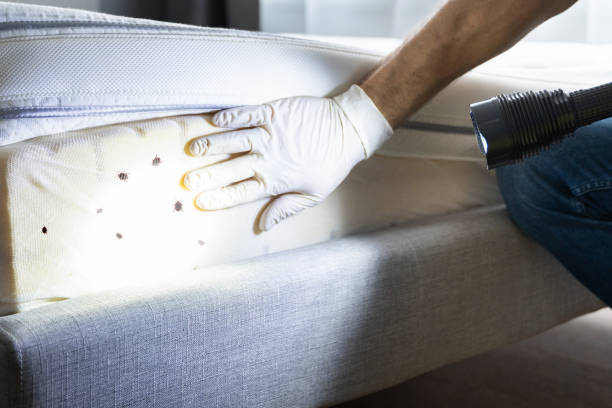 Best Pest Control Treatment  in Pinconning, MI