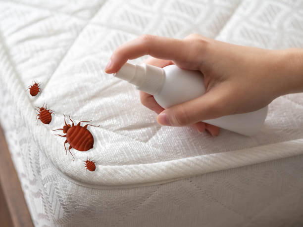 Best Affordable Pest Control Services  in Pinconning, MI